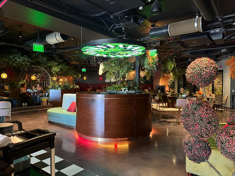 Sessions By The Bay cannabis consumption lounge interior with elegant seating and ambient lighting